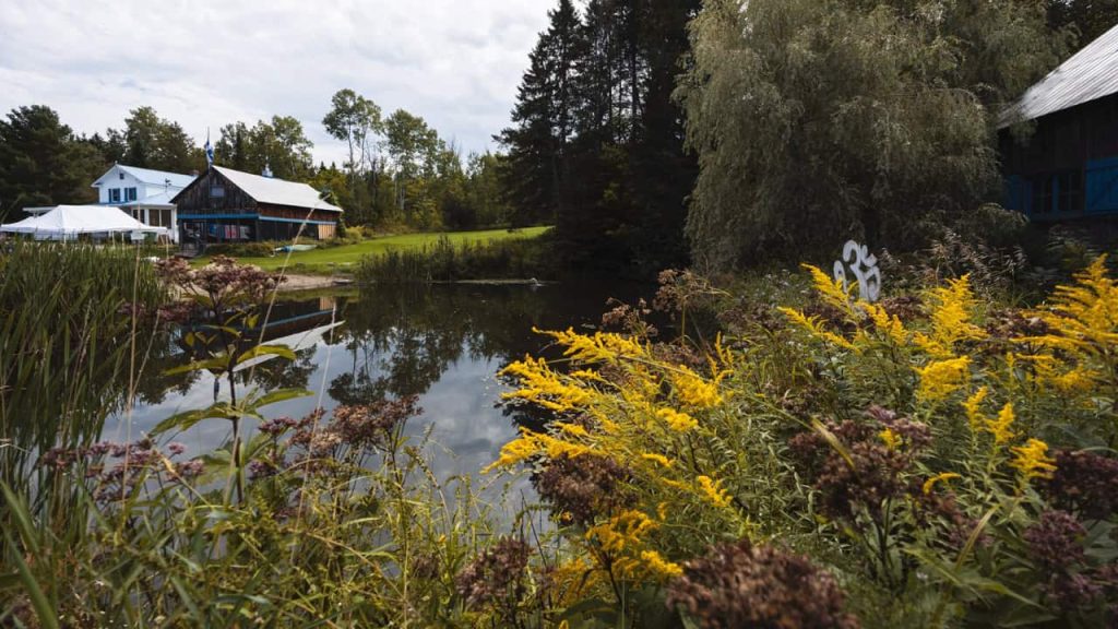Étang et verges d’or près des bâtiments du Centre de vie