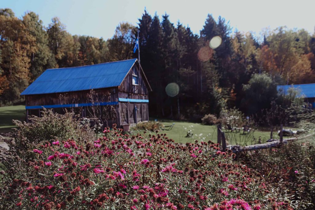 Grange au toit bleu et champ de fleurs à l’automne