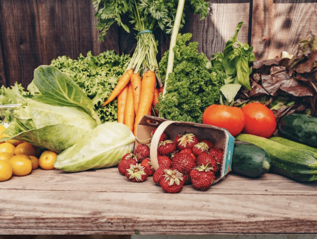 Légumes frais de la Ferme aux Pleines Saveurs