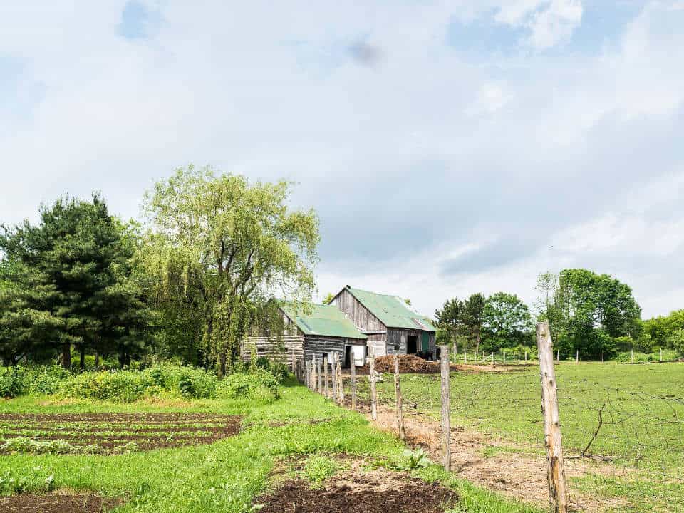 Ferme La Défriche et son jardin