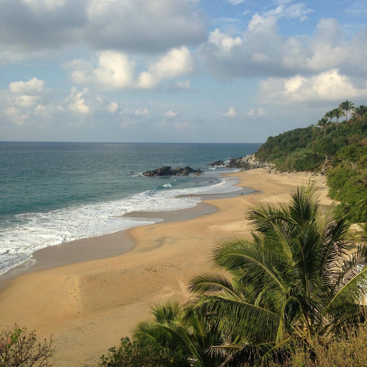Plage du Haramara Retreat vue des hauteurs, entre palmiers et Pacifique